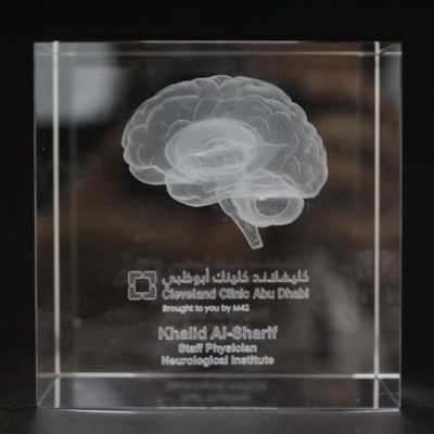 Recognition-Brain-Laser-Engraved-Award.jpg
