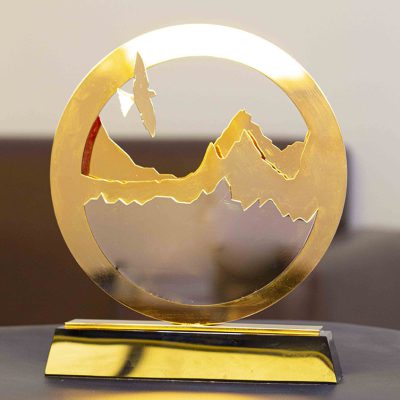 Summit-Metal-Award.jpg