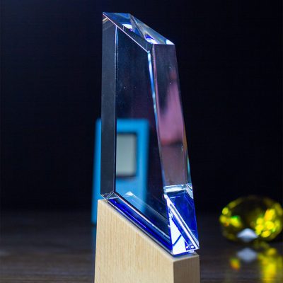 The-Fusion-Award-Combining-Modern-Clarity-with-Organic-Textures-2.jpg